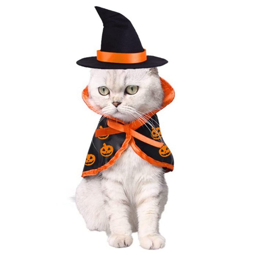 Capa e Chapéu de Halloween para Pets – Kit Festa Tamanho Único