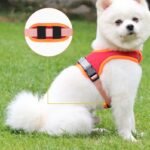 Peitoral em Camurça para Cães – Maciez e Elegância no Passeio