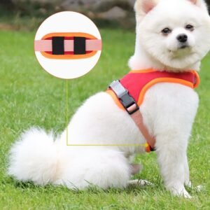 Peitoral em Camurça para Cães – Maciez e Elegância no Passeio