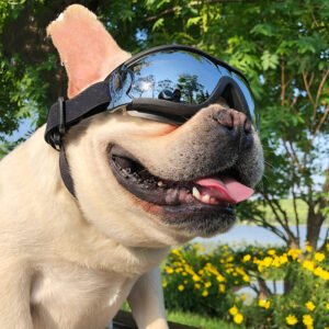 Óculos Antiventos para Cães – Goggles com Múltiplos Modelos