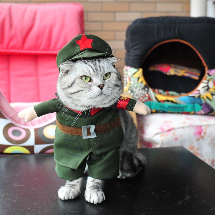 Fantasia para Cães – Coleção Temática (Pirata, Militar, Jeans e Mais)