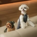 Macacão Acolchoado com Alças para Pets — Quentinho para o Inverno