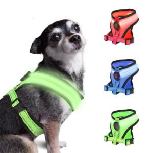 Peitoral Luminoso LED Recarregável USB para Cães