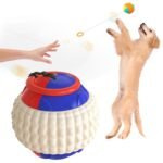 Bola Yo-Yo com Corda Retrátil para Cães - Mordedor e Treinamento