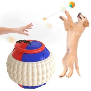 Bola Yo-Yo com Corda Retrátil para Cães - Mordedor e Treinamento