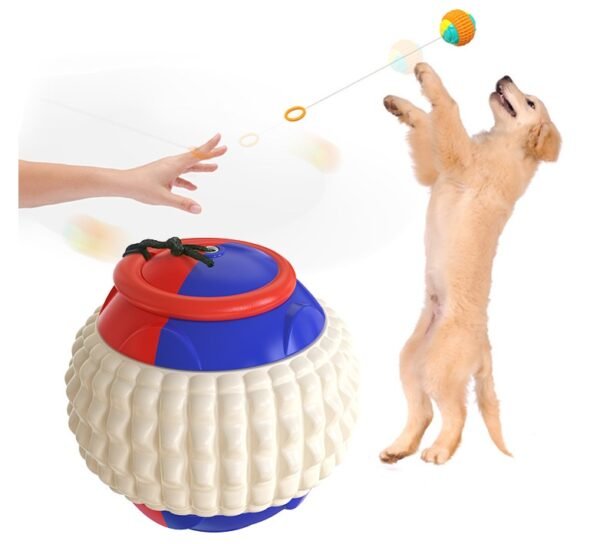 Bola Yo-Yo com Corda Retrátil para Cães – Mordedor e Treinamento