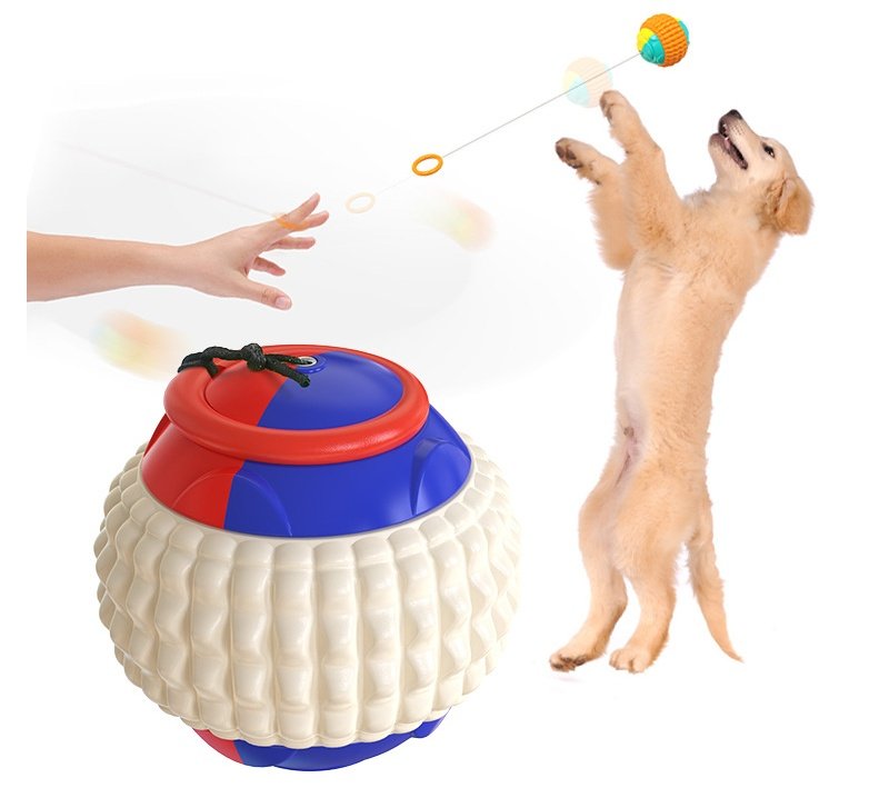Bola Yo-Yo com Corda Retrátil para Cães – Mordedor e Treinamento