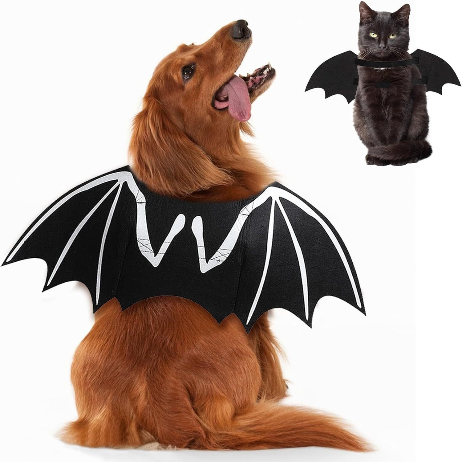 Fantasia Halloween Esqueleto com Asas de Morcego Luminosas para Pets