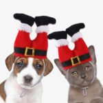 Chapéu de Natal Pelúcia para Cães e Gatos — Clima Festivo
