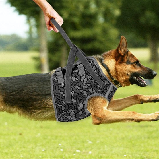 Peitoral Nylon Tático Antipuxão para Cães Médios e Grandes