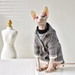 Cardigan para Todas as Estações – Gatos sem Pelo e Pelo Curto