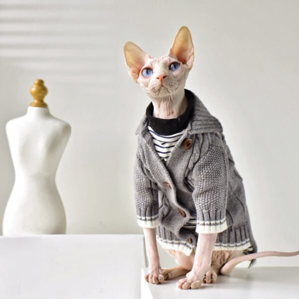 Cardigan para Todas as Estações – Gatos sem Pelo e Pelo Curto