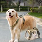 Peitoral em Oxford com Guia para Cães de 4 a 24 kg