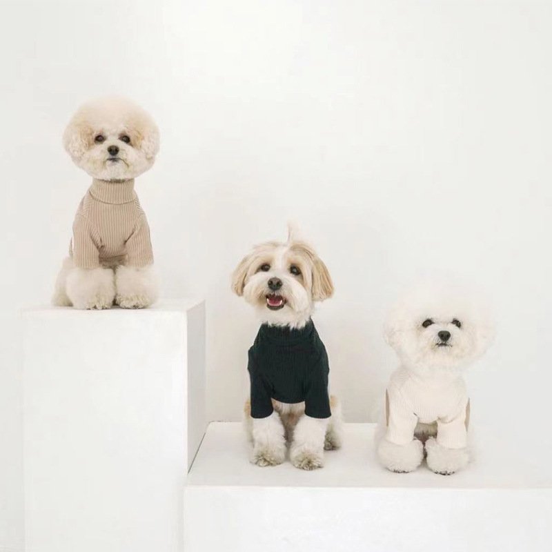 Roupa de Contraste de Cores com Textura Vertical para Pets