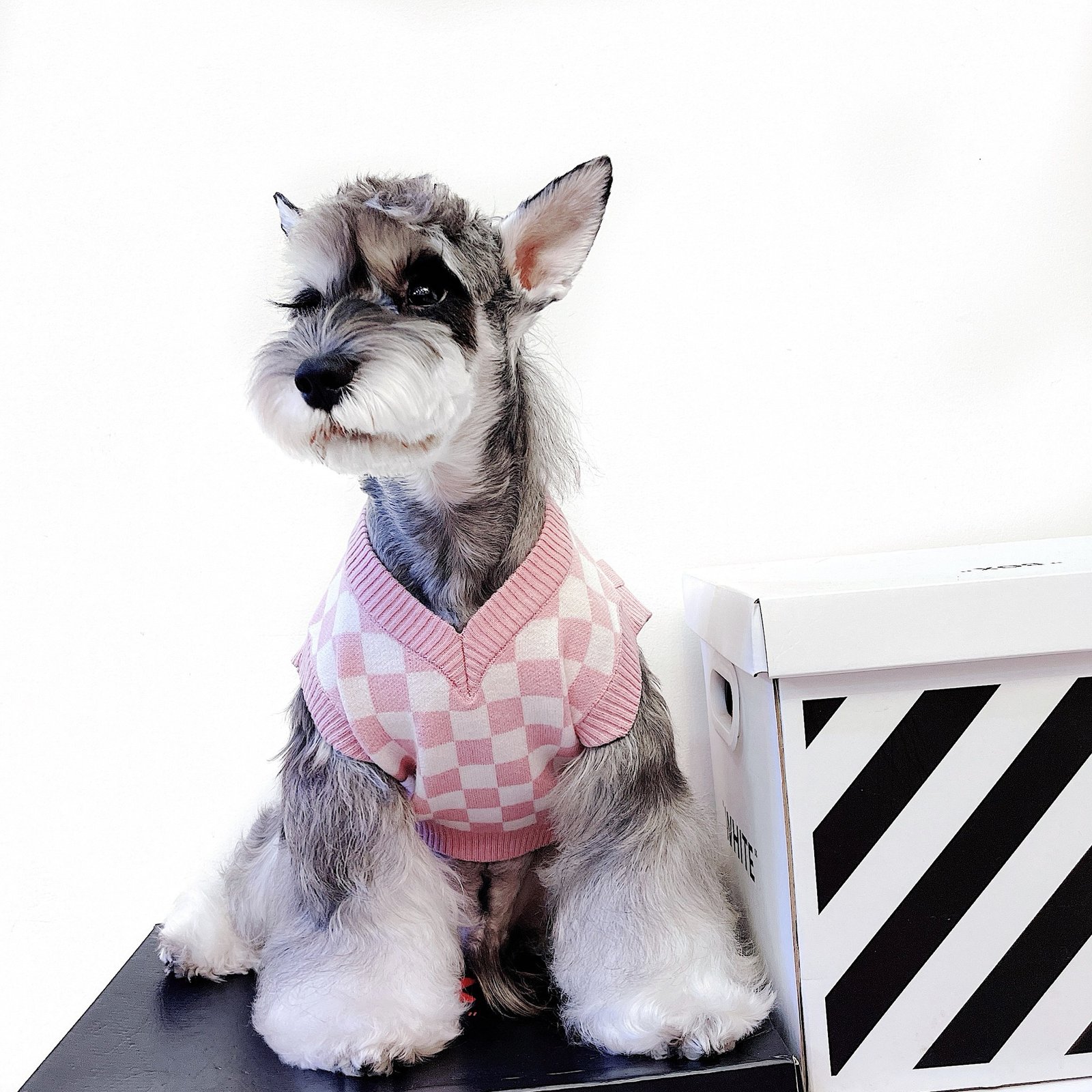 Colete Suéter Xadrez Rosa — Estilo Britânico Fofo para Pets