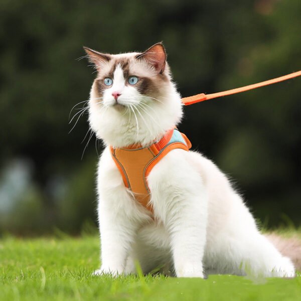 Peitoral Antifuga Reflexivo para Gatos com Guia