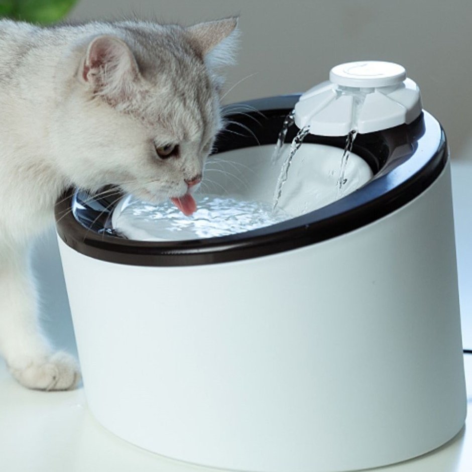 Bebedouro Automático com Fluxo Contínuo Silencioso – Gatos e Cães