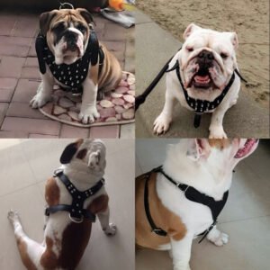 Peitoral Estilo Punk com Rebites para Cães Grandes – Resistente e Estiloso