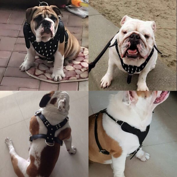Peitoral Estilo Punk com Rebites para Cães Grandes – Resistente e Estiloso
