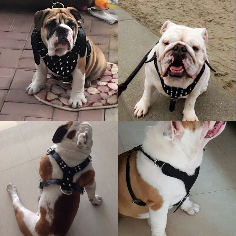 Peitoral Estilo Punk com Rebites para Cães Grandes – Resistente e Estiloso