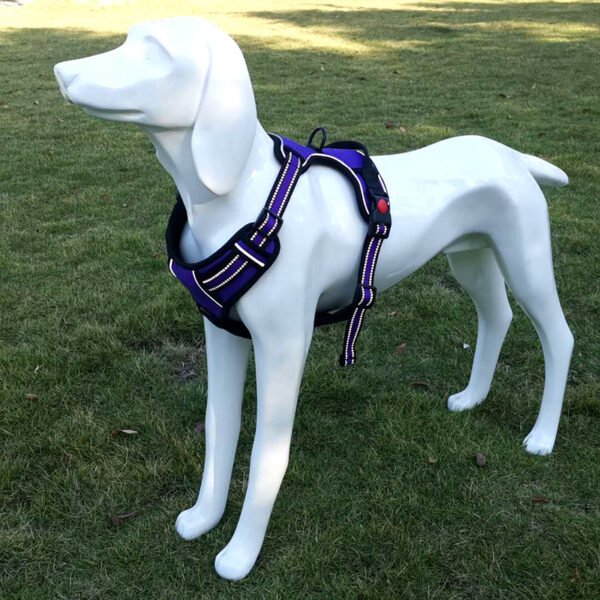 Peitoral Colete em Oxford para Cães – Controle e Conforto no Passeio Diário