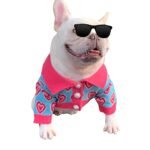 Suéter Brilhante Fashion — Tendência para Cães e Gatos