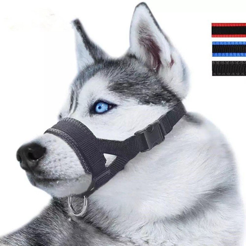 Kit Focinheira com Coleira para Cães — Nylon Respirável Anti-latido