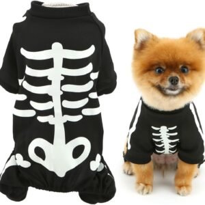 Fantasia de Halloween Esqueleto para Cachorro – Brilha no Escuro