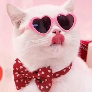 Óculos Divertidos para Pets e Bonecas – Acessório para Fotos