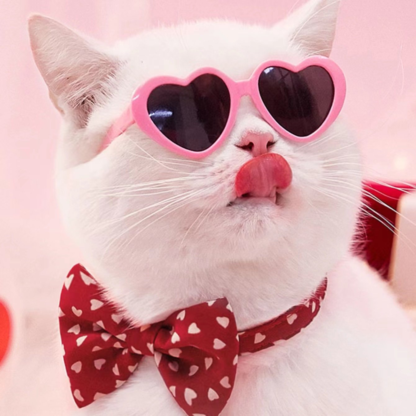 Óculos Divertidos para Pets e Bonecas – Acessório para Fotos