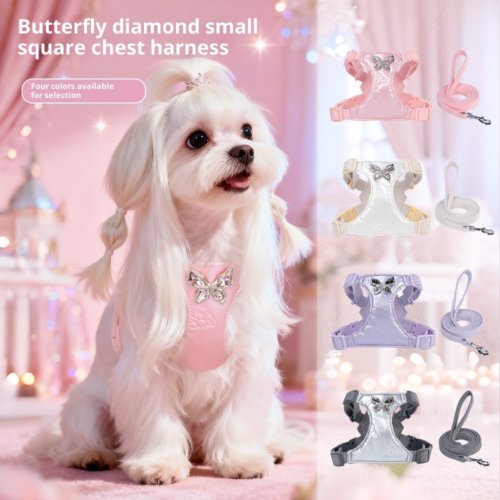 Peitoral com Guia para Cães Pequenos – Borboleta Metálica