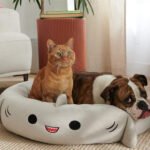 Tapete Cama de Pelúcia Ultramacio para Pets — Quatro Estações