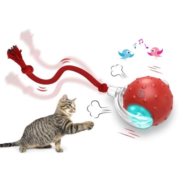 Bola Rolante Super Drive com Cauda Mágica para Gatos – Vários Estilos