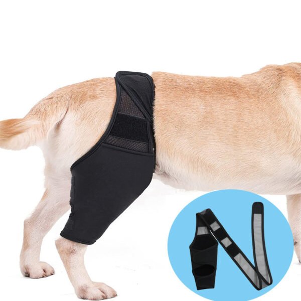 Joelheira de Recuperação para Cães – Suporte Pós-Operatório