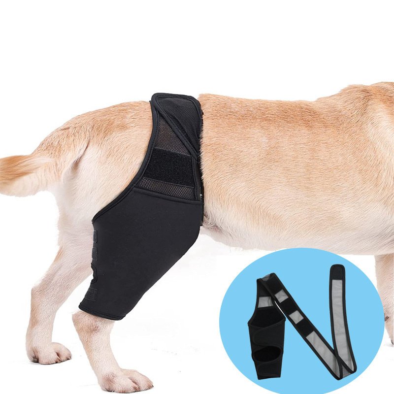 Joelheira de Recuperação para Cães – Suporte Pós-Operatório