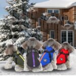 Jaqueta Acolchoada com Peitoral para Pets – Proteção no Frio