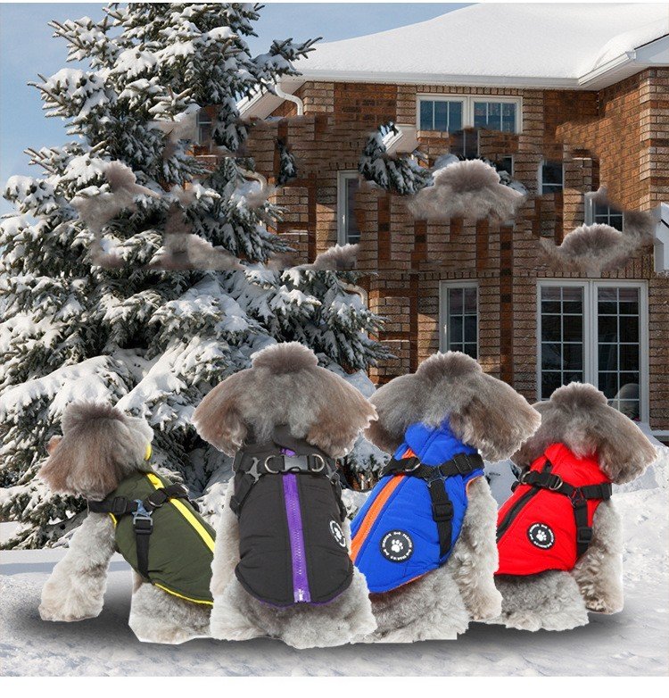 Jaqueta Acolchoada com Peitoral para Pets – Proteção no Frio