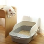 Caixa de Areia Semiaberta Desodorizante para Gatos Baby e Adultos