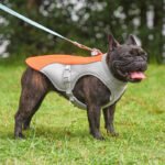 Colete Refrescante de Verão para Pets — Resfria e Protege do Calor