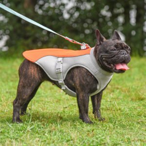 Colete Refrescante de Verão para Pets — Resfria e Protege do Calor