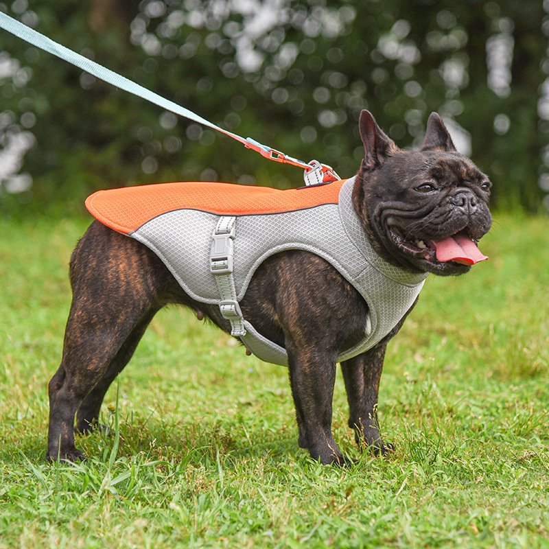 Colete Refrescante de Verão para Pets — Resfria e Protege do Calor
