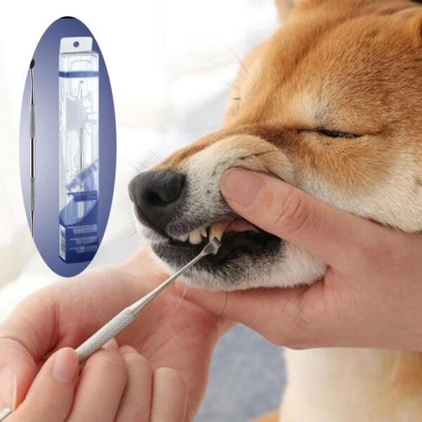 Raspador de Tártaro Dental para Pets — Branco