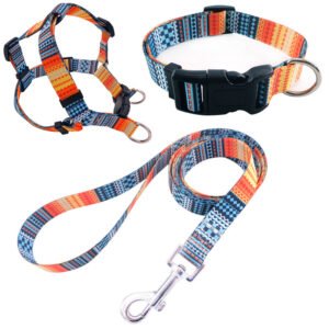 Kit Coleira + Peitoral + Guia com Estampas para Cães — Conjunto 3 Peças