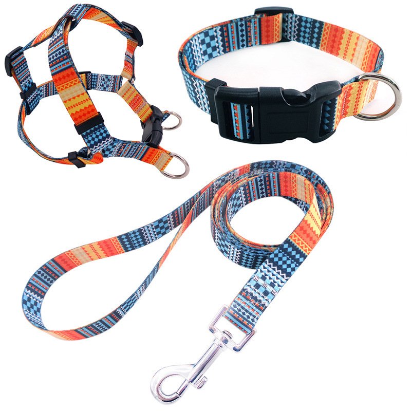 Kit Coleira + Peitoral + Guia com Estampas para Cães — Conjunto 3 Peças