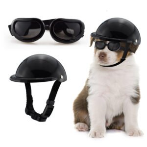 Capacete para Pets — Proteção com Óculos para Passeios de Moto