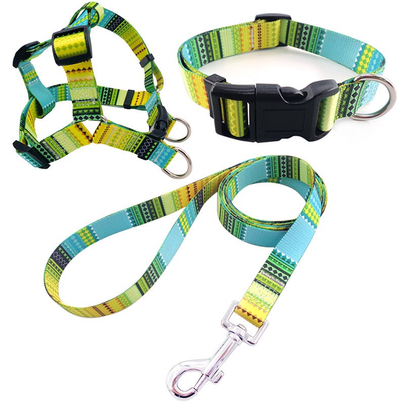 Kit Coleira + Peitoral + Guia com Estampas para Cães — Conjunto 3 Peças