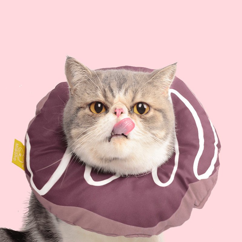 Colar Pós-Cirúrgico Estilo Rosquinha para Pets — Macio e Lavável