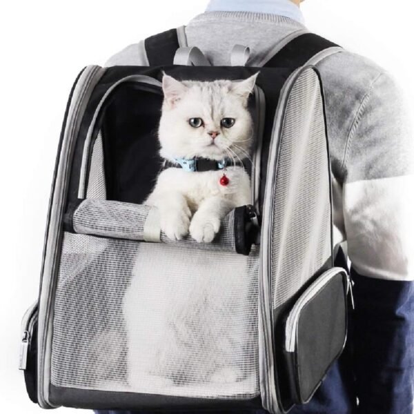 Mochila Bolha Transparente para Pets — Estilo Astronauta