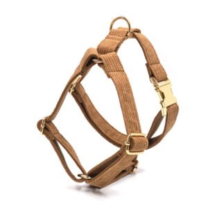 Kit Coleira Veludo Cotelê com Laço e Mochila para Cães — 5 Peças