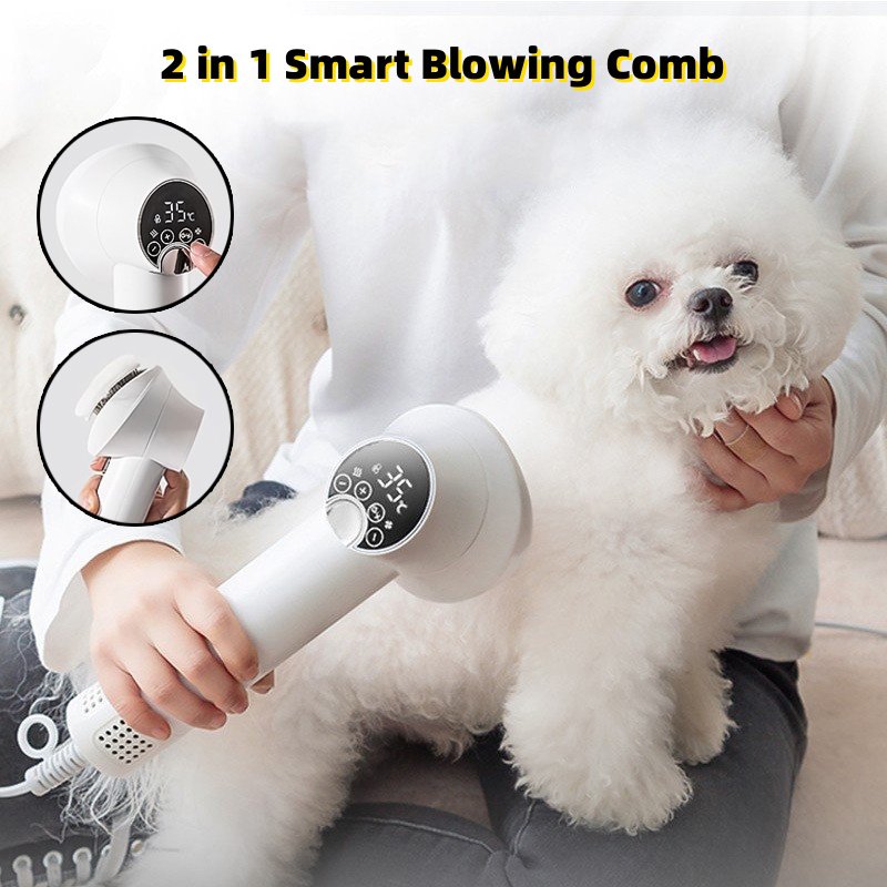Secador Inteligente para Pets — Grooming Profissional Golden Retriever